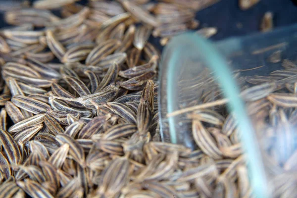 Les Graines Cumin Sont Particulièrement Populaires Dans Cuisine Juive Scandinave — Photo