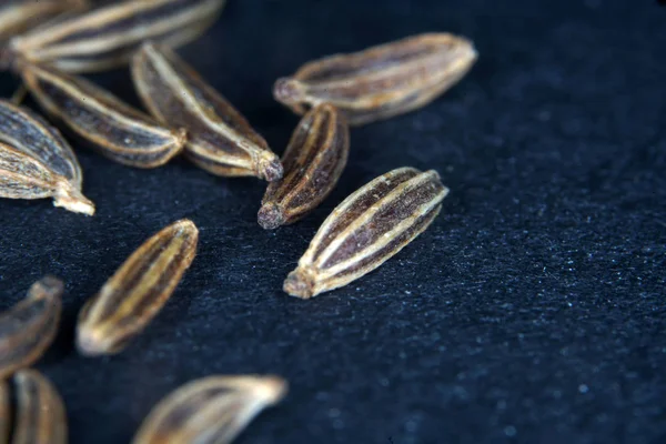 Les Graines Cumin Sont Particulièrement Populaires Dans Cuisine Juive Scandinave — Photo