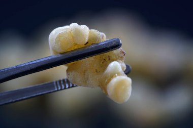 Buhur reçine kilitten pütürlü ve yarı saydam kahverengi-sarı kırmızımsı kahverengi renk. 