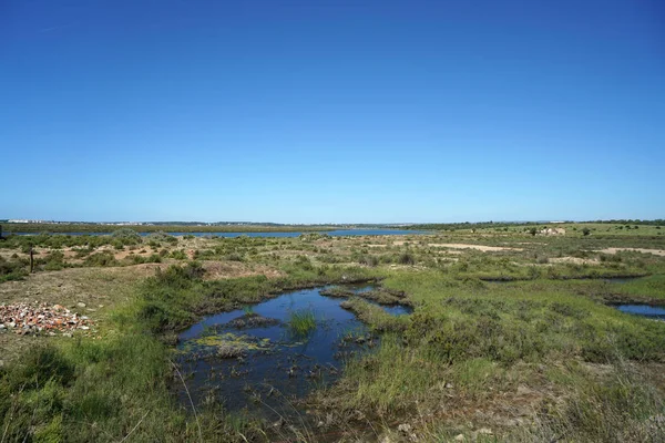 Portugália Algarve Spanyol Határ Termék Sós Tavak Közelről — Stock Fotó