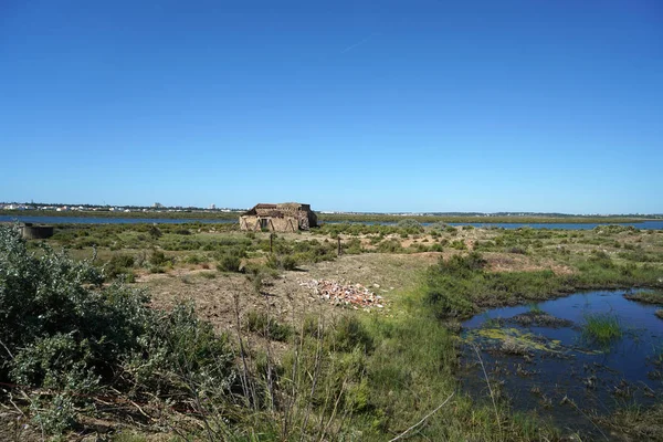 Lacs Salés Portugal Dans Algarve Frontière Avec Espagne Ses Produits — Photo