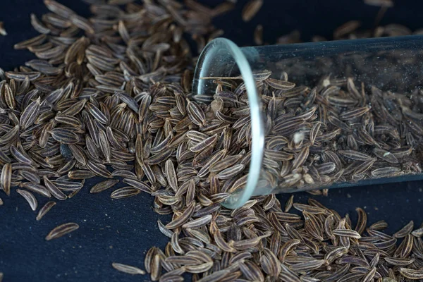 Les Graines Cumin Sont Une Épice Classique Dans Les Aliments — Photo