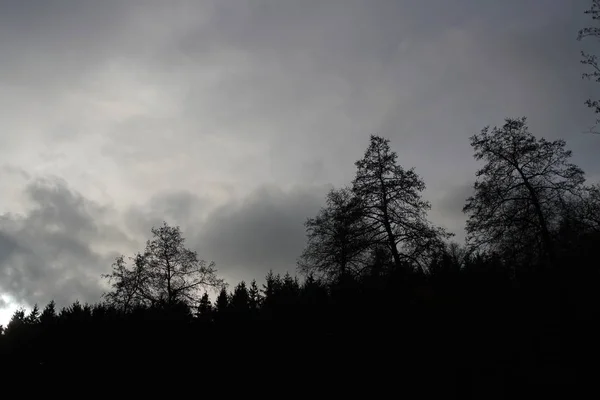 Dystra Landskap Med Mörka Träd Fotograferade Skumma Stormiga Vinter Eftermiddag — Stockfoto