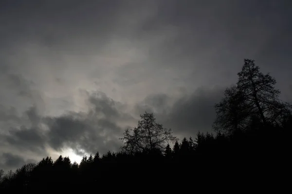 Gloomy Landscapes Dark Trees Photographed Murky Stormy Winter Afternoon Germany — Stock Photo, Image