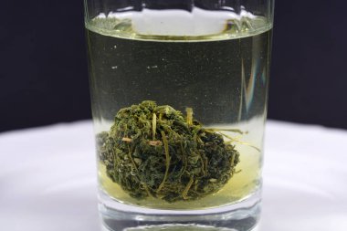 Jiaogulan bitki de ölümsüzlerin ot olarak adlandırılır ve satılan.