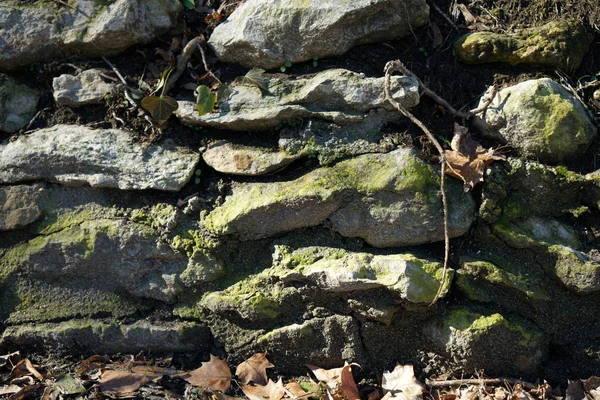 Натуральными Камнями Саду Парке Искусно Обработанными — стоковое фото