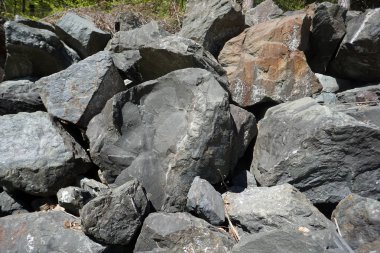 Bahçede doğal taşlar ile veya park ustaca tuğlalı