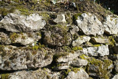 Doğal taş duvar sevgiyle tuğlalı veya yanlış Almanya'da bir parkta fotoğraflandı 