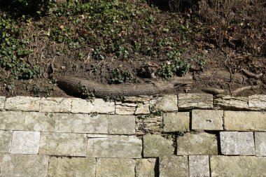Doğal taş duvar sevgiyle tuğlalı veya yanlış Almanya'da bir parkta fotoğraflandı 