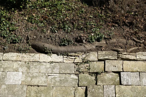 Doğal taş duvar sevgiyle tuğlalı veya yanlış Almanya'da bir parkta fotoğraflandı 