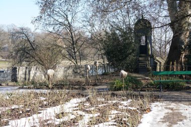 Jüt çuvallara sarılmış güller daha sıcak sıcaklıklarda jüt bekler