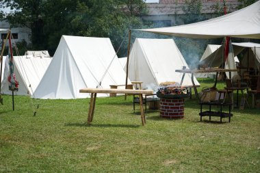 Almanya'da bir festivalde ortaçağ çadır kampı fotoğraflandı
