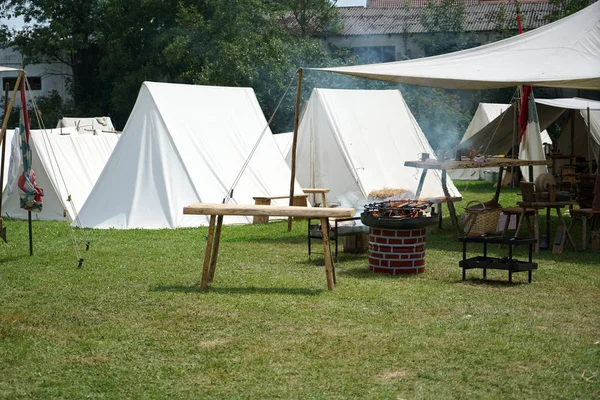 Almanya'da bir festivalde ortaçağ çadır kampı fotoğraflandı