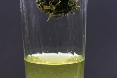 Jiaogulan bitki de sık sık ölümsüzlük bitki olarak adlandırılır. 