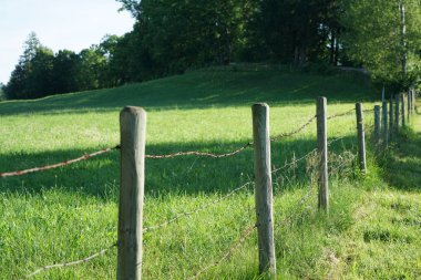 Dikenli tel Bavyera'da aylaklar oyunu korur