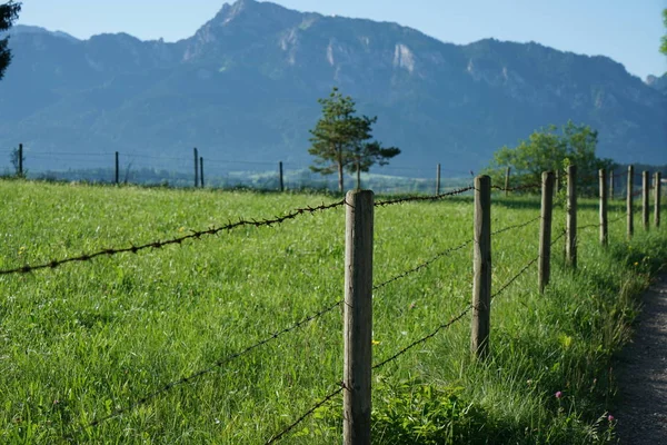 Alambre Púas Protege Juego Los Caminantes Baviera —  Fotos de Stock