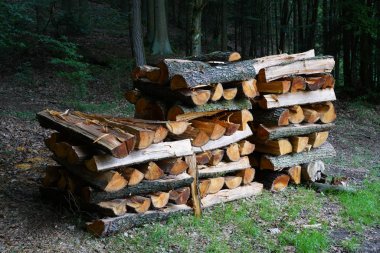 Yakacak odun hızlı kurutma için ormanın kenarında temiz yığılmış