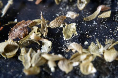 En iyi stüdyo kalitesinde Spice mix kısmen alınan makro lens ile siyah arka plan karşı izole fotoğraflandı