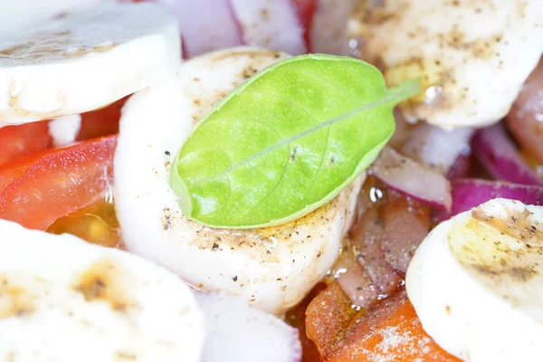 Tomato Mozzarella Salad Washed Tomatoes Rings Cut Onions Mozzarella — Stock Photo, Image