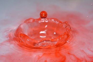 Su damlaları, higspeed flaş ve damlatıcılarla stüdyoda fotoğraflandı.