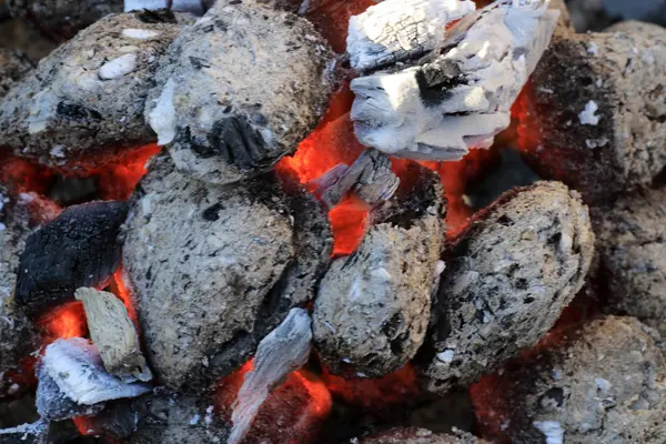 Bahçedeki Kömür Barbekü Ile Sosis Barbekü — Stok fotoğraf