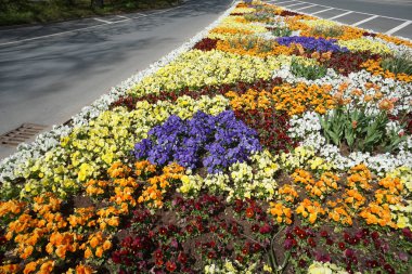 Rekreasyon arayanlar için kamu parkı ve büyük şehirler için yeşil bir akciğer olarak