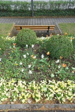 Rekreasyon arayanlar için kamu parkı ve büyük şehirler için yeşil bir akciğer olarak