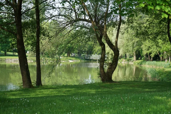 ドイツで開かれたすべてのレクリエーションのためのよく維持された公園 — ストック写真