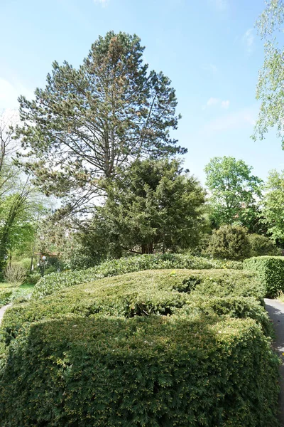 Well Maintained Park Recreation All Open Germany — Stock Photo, Image