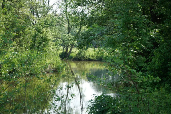 Öffentlicher Park Für Erholungssuchende Und Als Grüne Lunge Für Großstädte — Stockfoto