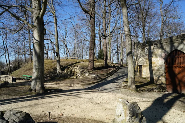 Openbare Park Voor Recreatiezoekers Als Groene Long Voor Grote Steden — Stockfoto