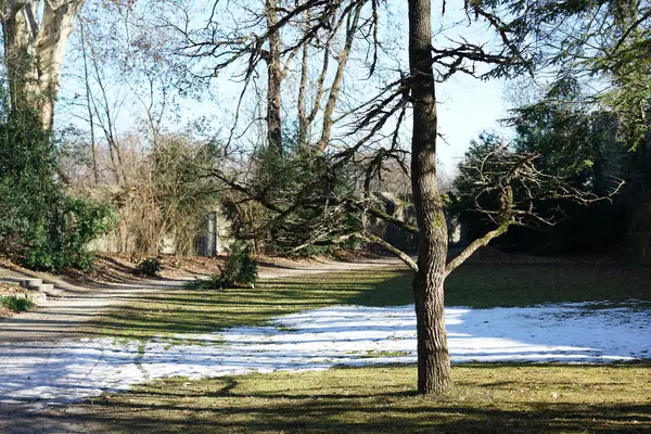 Veřejný Park Pro Uchazeče Rekreaci Pro Velká Města Jako Zelená — Stock fotografie