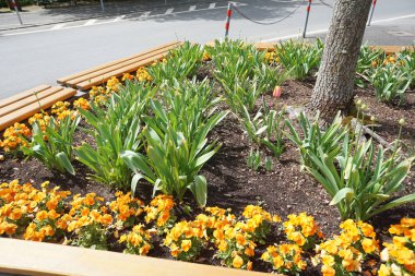 Rekreasyon arayanlar için kamu parkı ve büyük şehirler için yeşil bir akciğer olarak