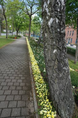 Rekreasyon arayanlar için kamu parkı ve büyük şehirler için yeşil bir akciğer olarak