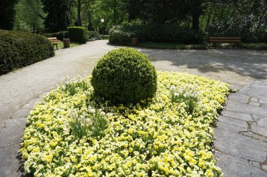 Rekreasyon arayanlar için kamu parkı ve büyük şehirler için yeşil bir akciğer olarak