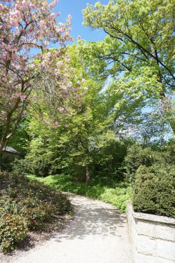 Rekreasyon arayanlar için kamu parkı ve büyük şehirler için yeşil bir akciğer olarak