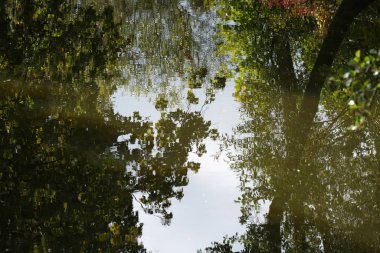 Büyük nehirde ağzına giden bir Bavyera deresi