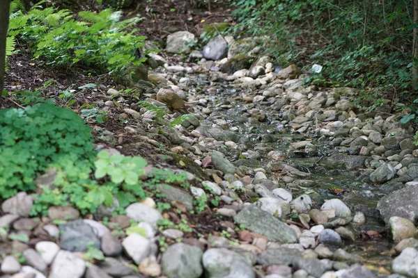 Arroyo Bávaro Camino Desembocadura Gran Río — Foto de Stock