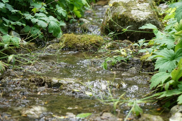 Een Beierse Beek Weg Naar Monding Grote Rivier — Stockfoto