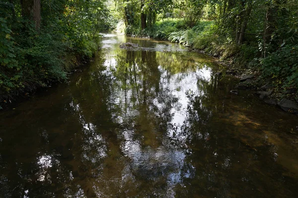 Riacho Bávaro Caminho Sua Foz Grande Rio — Fotografia de Stock