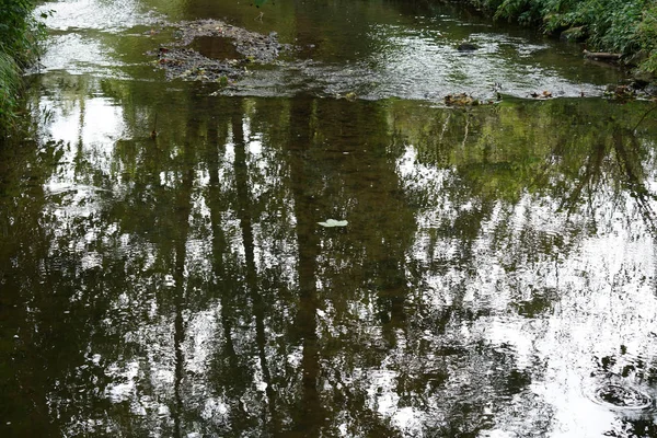 Una Hoja Que Cayó Del Árbol Otoño Desplaza Agua Tranquila — Foto de Stock