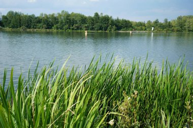 Tuna Nehri ve eski suları Regensburg yakınlarındaki Bavyera 'da fotoğraflanmıştır.