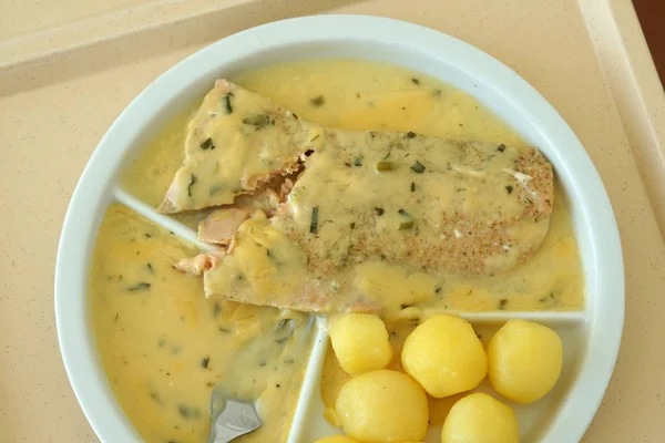 配上煮熟的土豆和肉汁的鲑鱼是盘中美味的午餐 — 图库照片