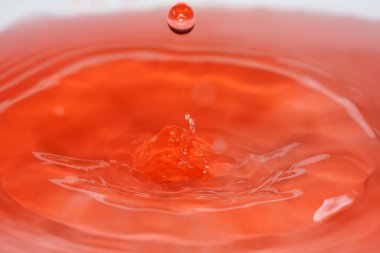 Su damlaları, higspeed flaş ve damlatıcılarla stüdyoda fotoğraflandı.