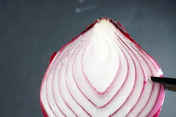 Onion Macro Lens Photographed Best Quality — Stock Photo, Image