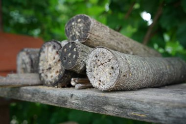 Bir böcek oteli çeşitli malzemelerden kolayca yapılabilir ve böcekleri izlemede çok iyidir.