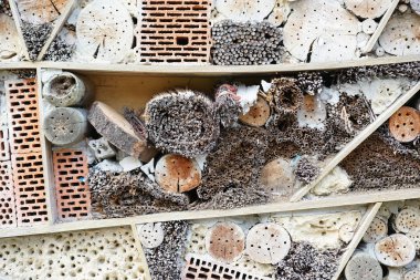 Bir böcek oteli çeşitli malzemelerden kolayca yapılabilir ve böcekleri izlemede çok iyidir.