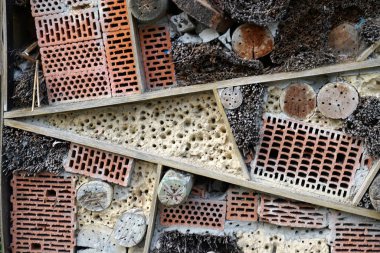Bir böcek oteli çeşitli malzemelerden kolayca yapılabilir ve böcekleri izlemede çok iyidir.