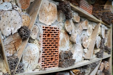 Bir böcek oteli çeşitli malzemelerden kolayca yapılabilir ve böcekleri izlemede çok iyidir.