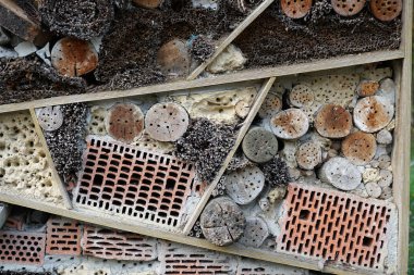 Bir böcek oteli çeşitli malzemelerden kolayca yapılabilir ve böcekleri izlemede çok iyidir.